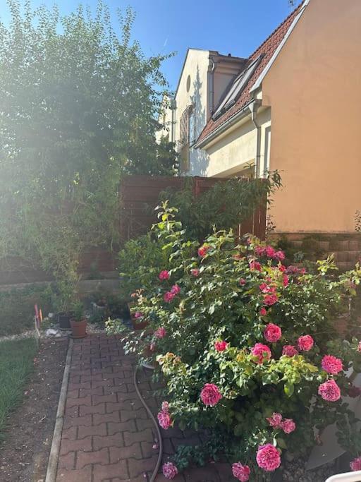 Appartement Family-friendly 5 *
