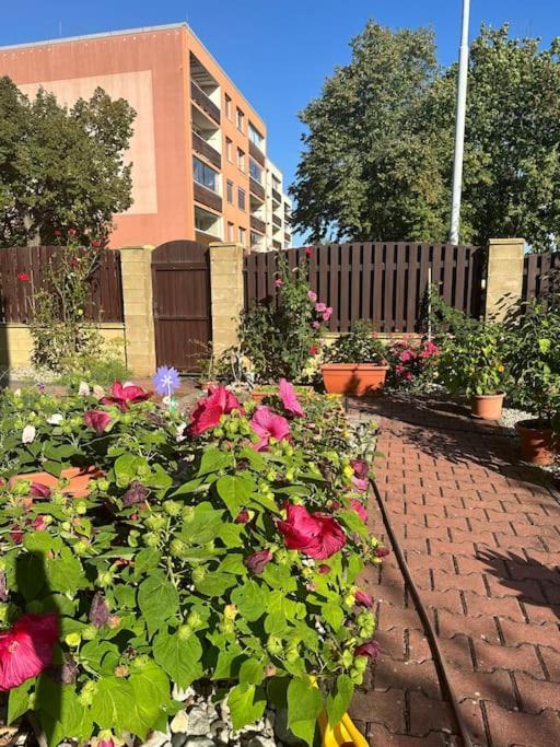 Family-friendly 5 Apartamento Praga